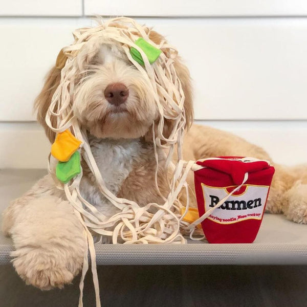 Ramen Noodles Dog Toy  Shop Plush Dog Toys – TeaCups, Puppies & Boutique
