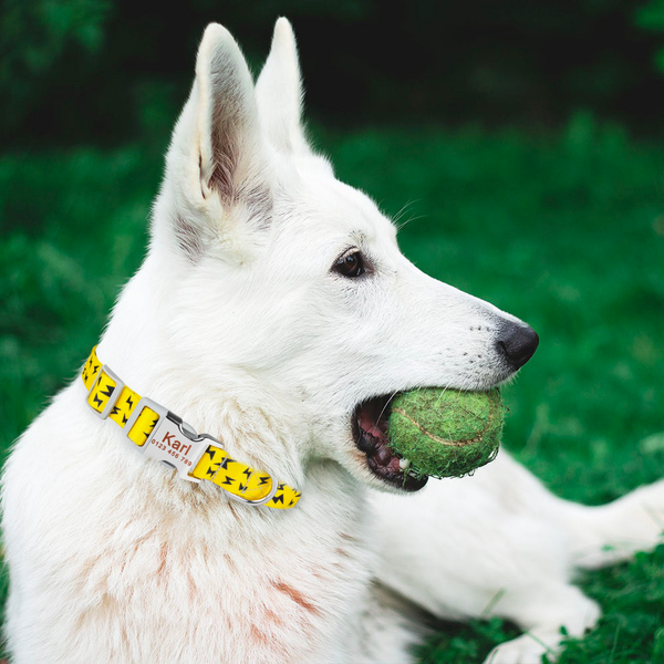 Lightning Bolt Collar