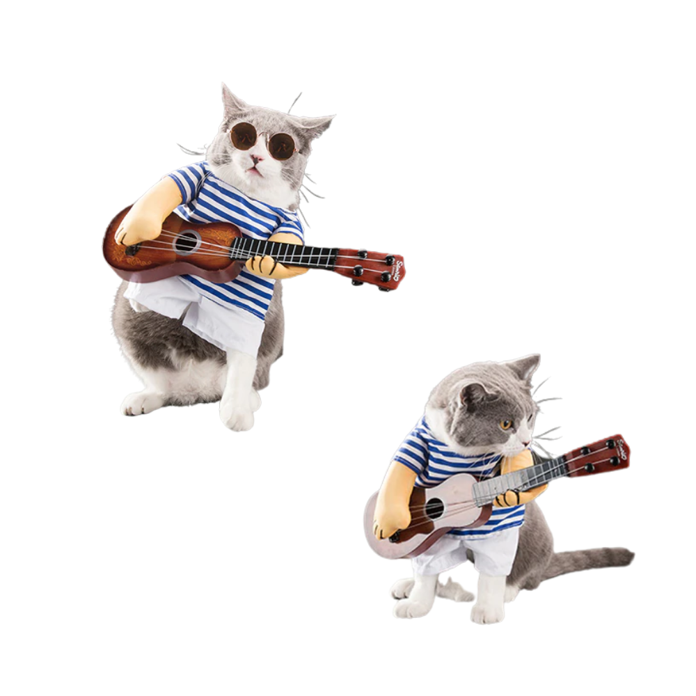 Cat playing guitar costume best sale