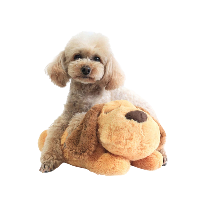 Puppy Toys With Heartbeat, Dog And Cat Toy, Puppy Sleep Aid Toy